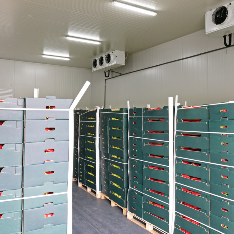 Cold Storage Solutions for Small and Growing Food Brands 